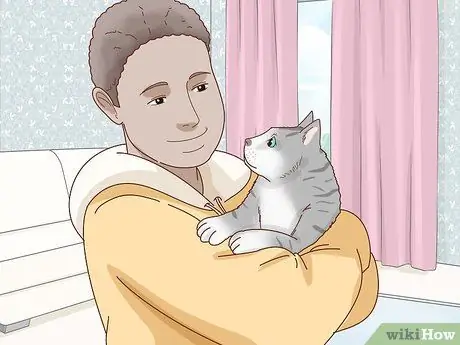 Tell if Your Cat Is Depressed Step 10