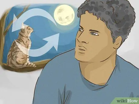 Interpretar um sonho envolvendo gatos - Etapa 11