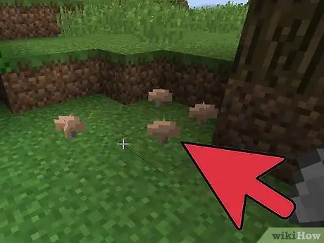 Make Fermented Spider Eye in Minecraft Step 4