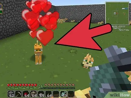 Menjinakkan Ocelot di Minecraft Langkah 12