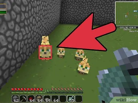 Îmblânziți un Ocelot în Pasul 10 Minecraft