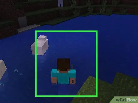 Fish in Minecraft Step 3