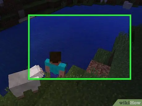 Vis in Minecraft Stap 5