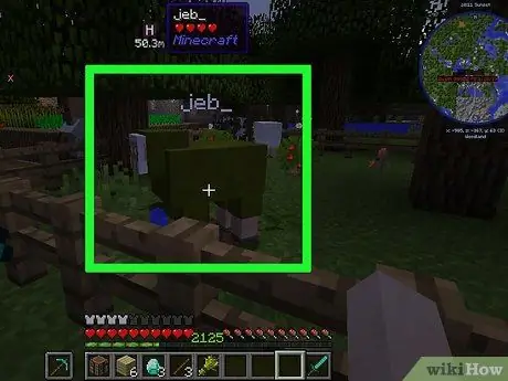 Minecraft Step 8. में एक इंद्रधनुष भेड़ बनाएं