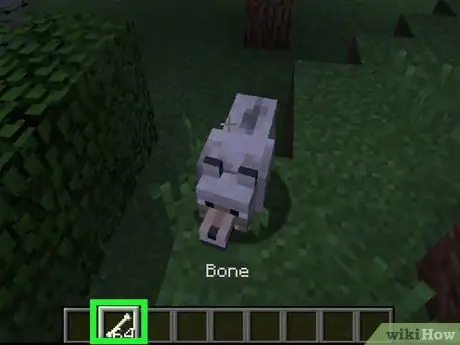 Tem en fok een hond op Minecraft Stap 3