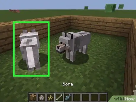 Minecraft Adım 4'te Bir Köpeği Evcilleştirin ve Çiftleştirin