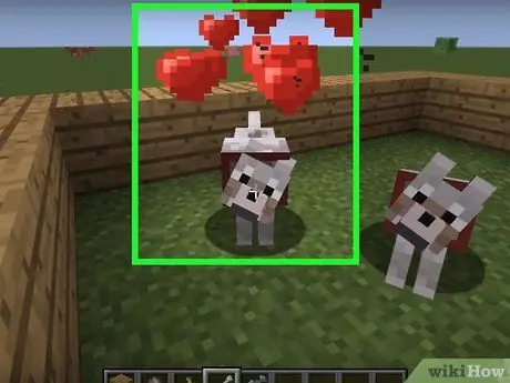 Tame at Breed a Dog sa Minecraft Hakbang 5