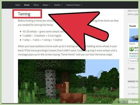 Addomestica un cavallo in Minecraft Passaggio 12