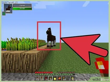 Tame a Horse in Minecraft Step 2