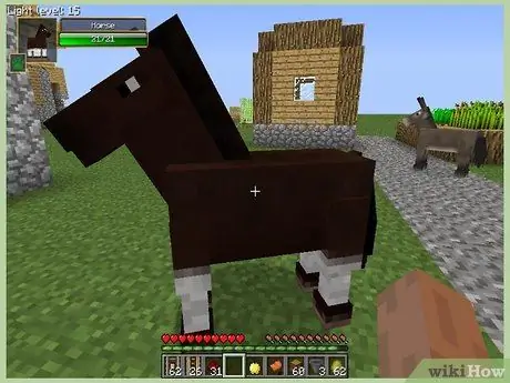 Tem een paard in Minecraft Stap 3