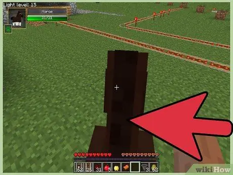 Minecraft -da Atı ram edin 4 -cü addım