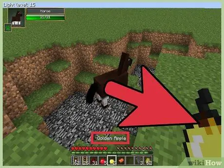 Minecraft -da Atı ram edin 5 -ci addım