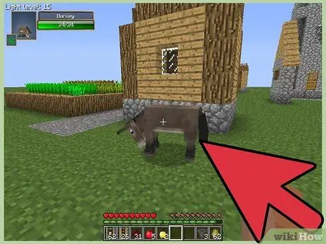 เชื่องม้าใน Minecraft ขั้นตอนที่ 8