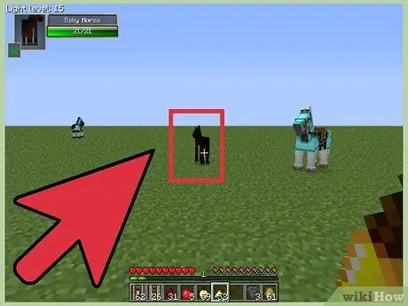 Tame Nees hauv Minecraft Kauj Ruam 9