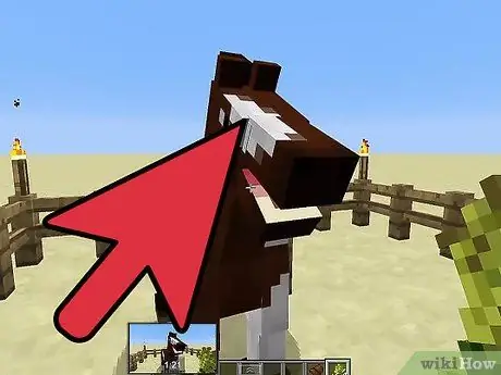 Fuga Farasi katika PC ya Minecraft Hatua ya 16