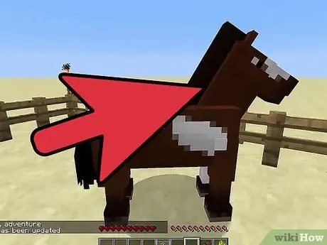 Tæm en hest i Minecraft PC Trin 19