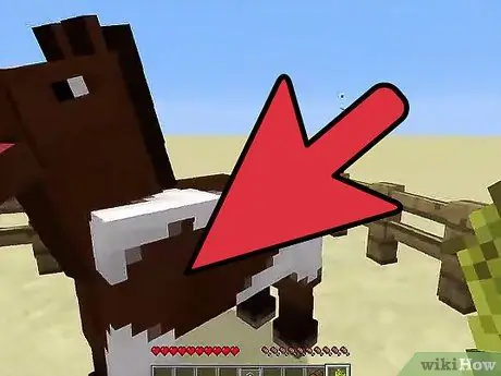 Tæm en hest i Minecraft PC Trin 21