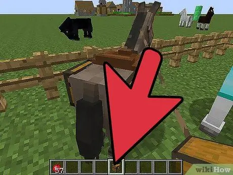 Minecraft PC Adım 8'de Bir Atı Evcilleştirin