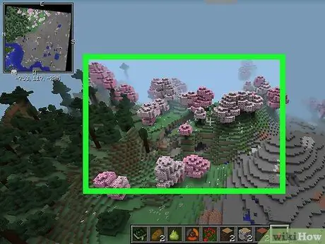 Raskite kelią į savo namus, kai pasiklydote „Minecraft“2 veiksme