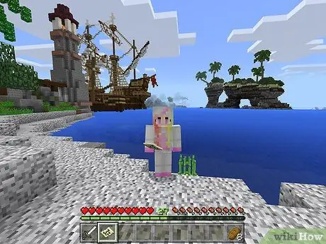 Crea una mappa in Minecraft Passaggio 17