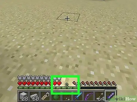 Nommez une foule dans Minecraft Étape 9