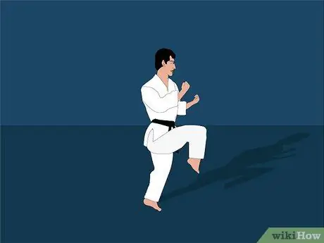 Kick (in Martial Arts) Step 14