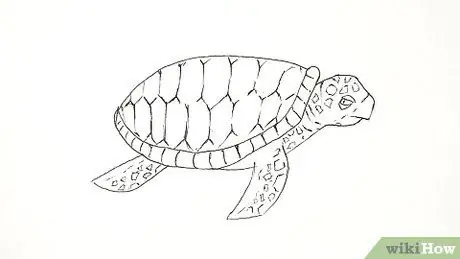 Dessiner une tortue Étape 18