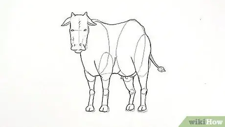 Draw a Cow Step 14