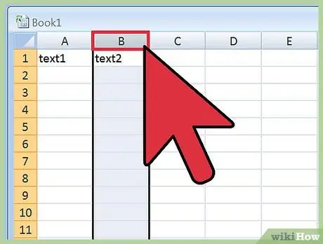 Kopier Indsæt fane Afgrænset tekst til Excel Trin 9