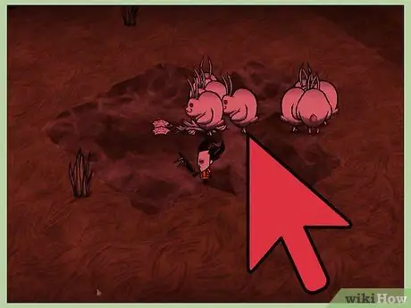 Raise Sanity in Don't Starve Step 16