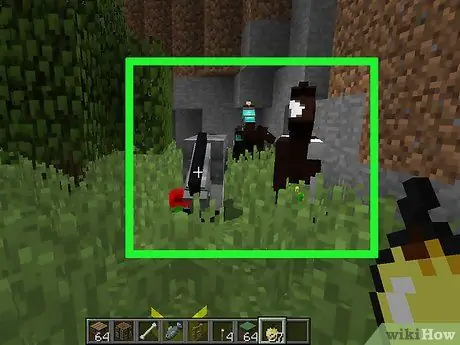 Dieren fokken in Minecraft Stap 10