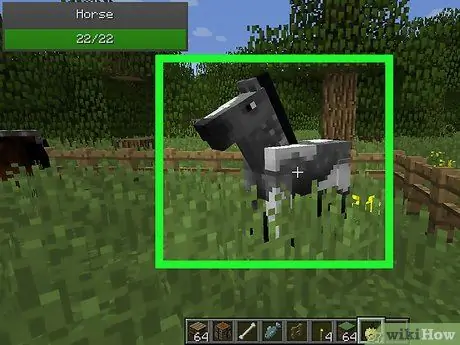 Dieren fokken in Minecraft Stap 12