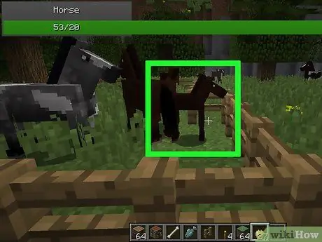 Minecraft Adım 14'te Hayvanları Üreme