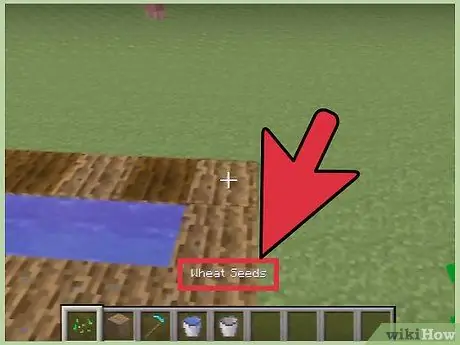 Búza termesztése a Minecraftban 5. lépés