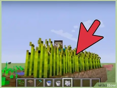 Cultive trigo no Minecraft, etapa 9