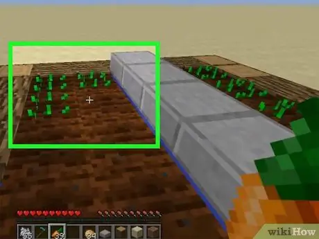 Pasodinkite sėklas „Minecraft“10 veiksme