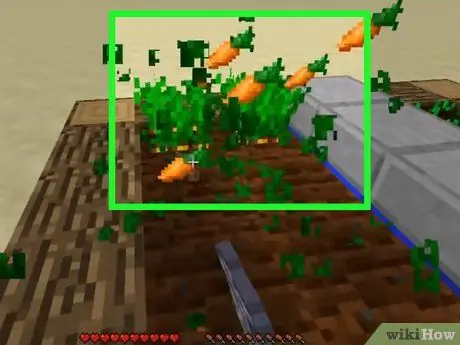 Plant sade in Minecraft Stap 11