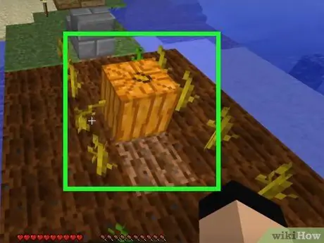 Stādiet sēklas Minecraft 15. solī