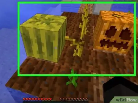 Plant sade in Minecraft Stap 16