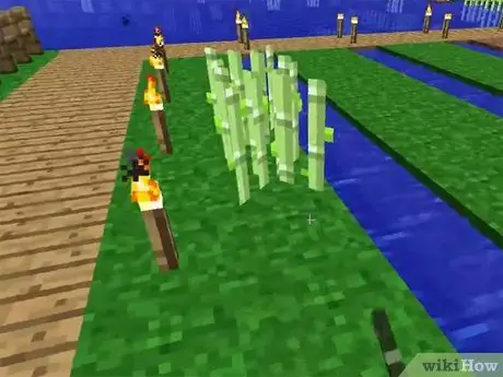 Plantes de llavors al Minecraft Pas 18