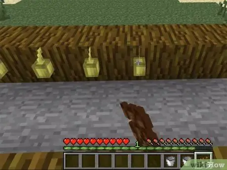 Plantera frön i Minecraft Steg 19