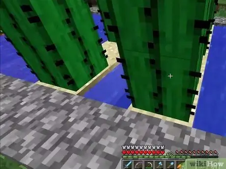 Semințe de plante în Minecraft Pasul 21