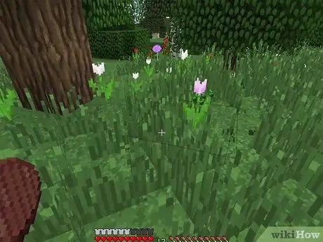 Semințe de plante în Minecraft Pasul 23