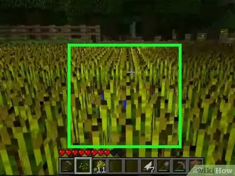 Semințe de plante în Minecraft Pasul 6