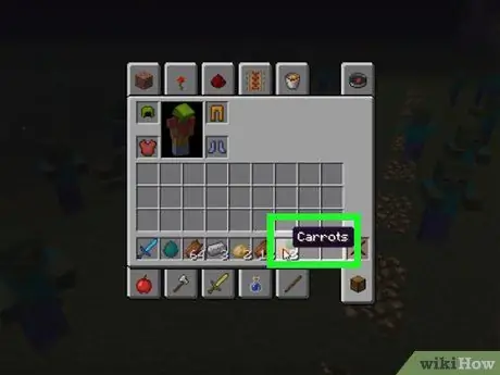 Plantera frön i Minecraft Steg 7