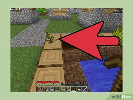 Minecraft Adım 1'de Ekmek Yapın