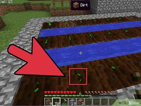 Atrodiet melones sēklas Minecraft 12. solī