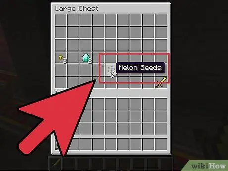 Vind Melon Seeds in Minecraft Stap 4