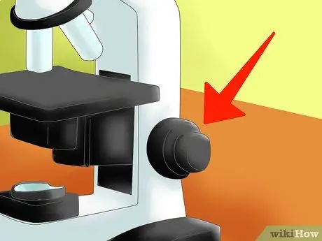 Eleza tofauti kati ya Prokaryotes na Eukaryotes Hatua ya 4