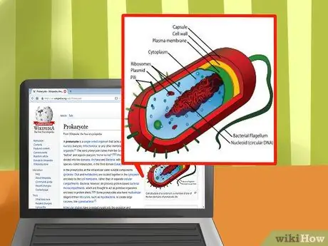 Qhia qhov sib txawv ntawm Prokaryotes thiab Eukaryotes Kauj Ruam 7